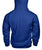 ALPINA Gildan Hoodie-Hoodies-Elessi UK