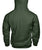 ALPINA Gildan Hoodie-Hoodies-Elessi UK