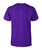 ALPINA Unisex Cotton Tee T Shirt-Short Sleeves-Elessi UK